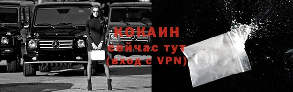 шишки Абинск