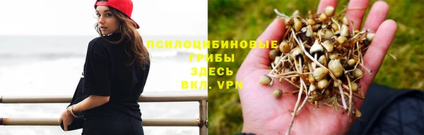 прущая мука Абдулино