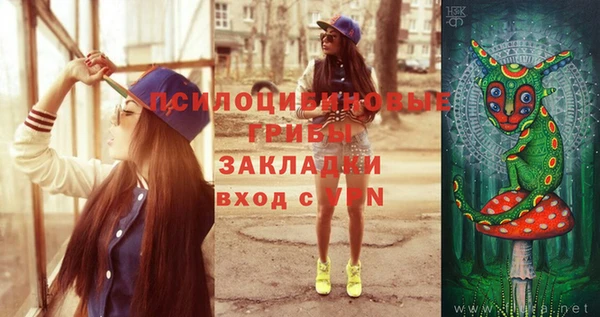 шишки Абинск