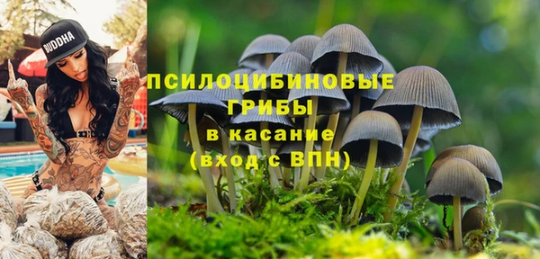 прущая мука Абдулино