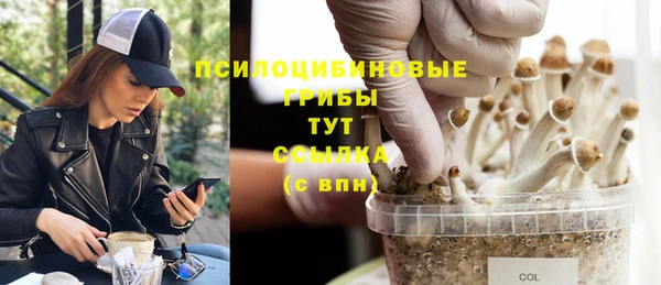 шишки Абинск