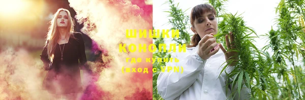 шишки Абинск