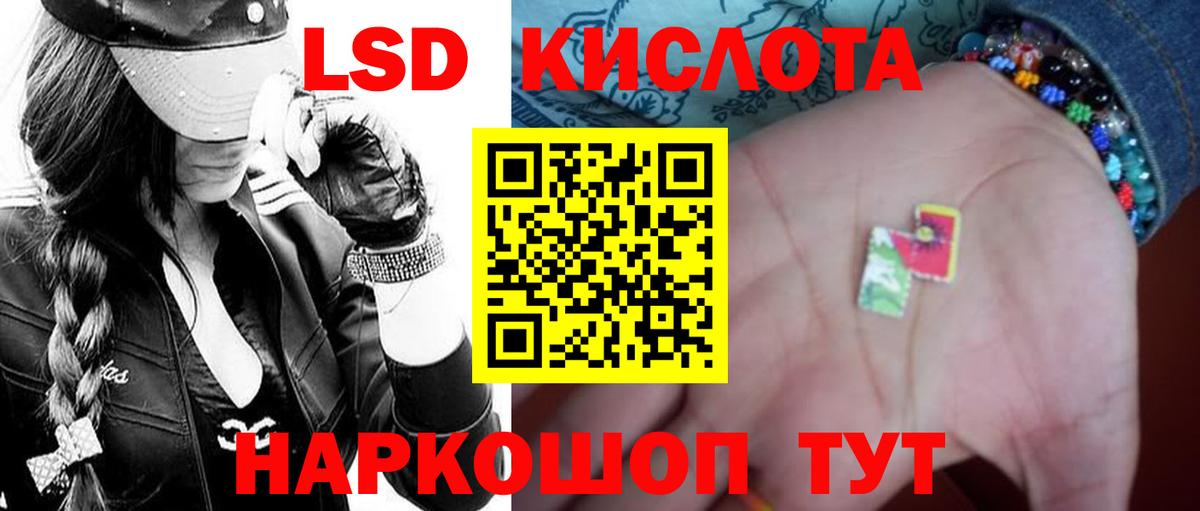 Галлюциногенные грибы Камень-на-Оби