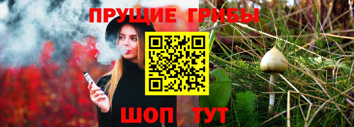 Псилоцибиновые грибы Psilocybine cubensis  Вход с VPN  Псилоцибиновые грибы Cubensis  купить   Камень-на-Оби 